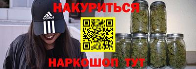 стаф Бийск