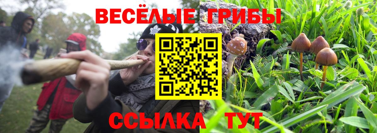 Зеленодольск  Псилоцибиновые грибы Cubensis  где найти наркотики  Вход с VPN 